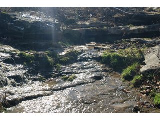 Property photo 15 - LAND FOR SALE - LAWRENCE COUNTY, IN - 281.3+/- ACRES ESSENTIAL ALL AROUND FARM