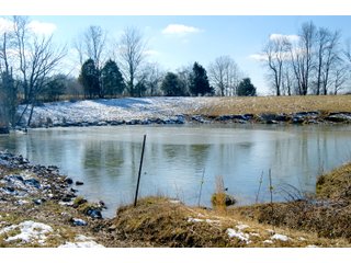 Property photo 17 - LAND FOR SALE - LAWRENCE COUNTY, IN - 281.3+/- ACRES ESSENTIAL ALL AROUND FARM