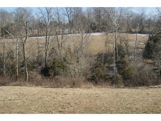 Property photo 18 - LAND FOR SALE - LAWRENCE COUNTY, IN - 281.3+/- ACRES ESSENTIAL ALL AROUND FARM