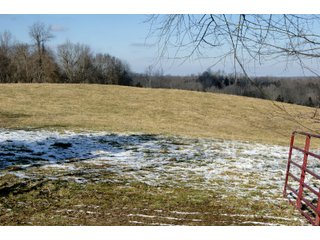 Property photo 20 - LAND FOR SALE - LAWRENCE COUNTY, IN - 281.3+/- ACRES ESSENTIAL ALL AROUND FARM