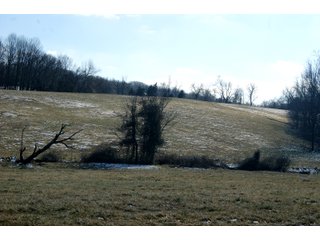Property photo 21 - LAND FOR SALE - LAWRENCE COUNTY, IN - 281.3+/- ACRES ESSENTIAL ALL AROUND FARM