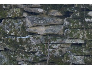 Property photo 24 - LAND FOR SALE - LAWRENCE COUNTY, IN - 281.3+/- ACRES ESSENTIAL ALL AROUND FARM