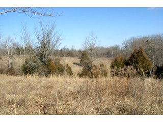 Property photo 26 - LAND FOR SALE - LAWRENCE COUNTY, IN - 281.3+/- ACRES ESSENTIAL ALL AROUND FARM