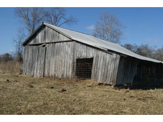 Property photo 27 - LAND FOR SALE - LAWRENCE COUNTY, IN - 281.3+/- ACRES ESSENTIAL ALL AROUND FARM