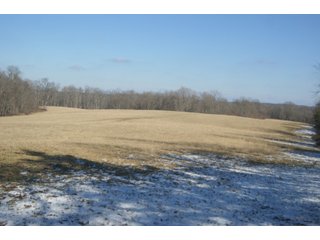 Property photo 28 - LAND FOR SALE - LAWRENCE COUNTY, IN - 281.3+/- ACRES ESSENTIAL ALL AROUND FARM