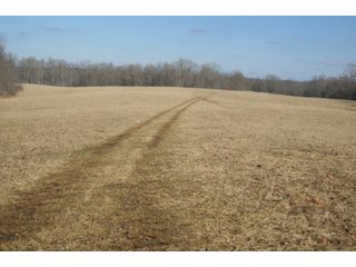 Property photo 29 - LAND FOR SALE - LAWRENCE COUNTY, IN - 281.3+/- ACRES ESSENTIAL ALL AROUND FARM