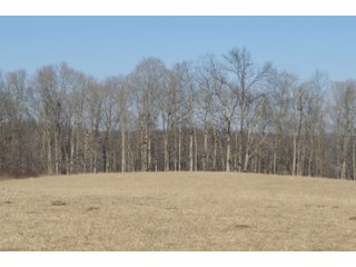 Property photo 30 - LAND FOR SALE - LAWRENCE COUNTY, IN - 281.3+/- ACRES ESSENTIAL ALL AROUND FARM