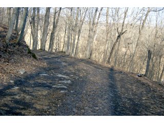 Property photo 31 - LAND FOR SALE - LAWRENCE COUNTY, IN - 281.3+/- ACRES ESSENTIAL ALL AROUND FARM