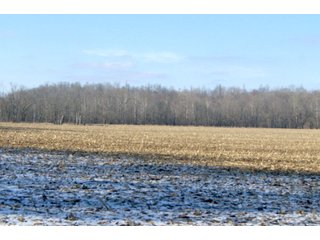 Property photo 32 - LAND FOR SALE - LAWRENCE COUNTY, IN - 281.3+/- ACRES ESSENTIAL ALL AROUND FARM