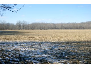 Property photo 33 - LAND FOR SALE - LAWRENCE COUNTY, IN - 281.3+/- ACRES ESSENTIAL ALL AROUND FARM