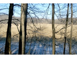 Property photo 34 - LAND FOR SALE - LAWRENCE COUNTY, IN - 281.3+/- ACRES ESSENTIAL ALL AROUND FARM
