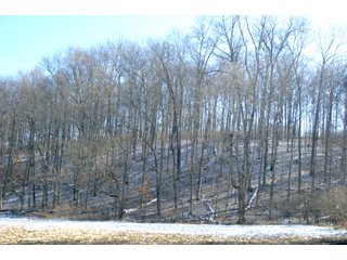 <B>This farm is 281.3+/- acres</b> in the rolling hill area of Eastern Lawrence County, five miles south of State Highway 50 & seven miles east of Bedford on Tunnelton Rd. It is 70 miles north to Indianapolis and 70 miles south to Louisville. It has a well-maintained brick house with 1126 sf of living space and an 1126 sf basement with central air and a gas furnace plus a wood stove to take advantage of the ample firewood available. This two bedroom house with a nice living room, kitchen and bath was built in 1949 and remains solid.  The house is accompanied by a 26 ft. x 30 ft. detached garage with concrete floor. A 24 ft. x 36 ft. pole barn built in 2007 to accommodate large equipment is situated near the residence.  Additionally there are several other older outbuildings still being used for hay and livestock.<br><br>
<b>Of the 199.7 ac of open ground</b> 34.1 ac is in hay with 3 upland fields and has been used for row cropping in the past.   70 ac is currently in creek bottom cropland having had a 150 bu corn yield/ac this past year. The remaining 95.6 ac of open land is in fenced pasture with a large pond and several year round springs to accompany a sizeable cattle herd.  The multiple pastures are all fenced and can be easily managed in a rotational grazing program.  Cattle can be bought with the farm. The hayfields are also fenced for some grazing in the winter months. The 81.6 ac. of timberland on this farm has a mix of oaks, cherry, maple, hickory and Tulip plus many more and last harvest in 2011 & 2012 was light, leaving many medium to large sized trees. This would be a great property for farmer or investor to safely invest in with the additional potential of leasing out the property to hunters and fishermen.  It is the most popular for deer and turkey, but fishing should not be overlooked, the winding Guthrie Creek makes the entire north boundary and is touted as the best stream in the state for small mouth bass fishing.    Additionally this clear water creek is a short kayak or canoe trip to the East Fork of the White River. If you like the striking beauty of the rolling hills of Southern Indiana, this is the poster child. From row & hay crops to livestock, recreation and timber production this will be the income property that is also a paradise. - LAND FOR SALE - LAWRENCE COUNTY, IN - 281.3+/- ACRES ESSENTIAL ALL AROUND FARM