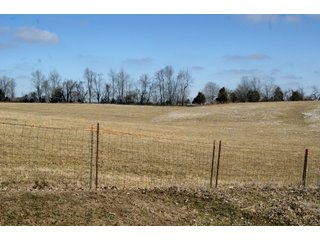 Property photo 7 - LAND FOR SALE - LAWRENCE COUNTY, IN - 281.3+/- ACRES ESSENTIAL ALL AROUND FARM