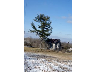 Property photo 6 - LAND FOR SALE - LAWRENCE COUNTY, IN - 281.3+/- ACRES ESSENTIAL ALL AROUND FARM