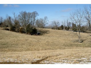Property photo 9 - LAND FOR SALE - LAWRENCE COUNTY, IN - 281.3+/- ACRES ESSENTIAL ALL AROUND FARM