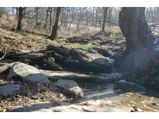 Property photo 12 - LAND FOR SALE - LAWRENCE COUNTY, IN - 281.3+/- ACRES ESSENTIAL ALL AROUND FARM
