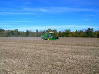 Property photo 2 - LAND FOR SALE - LAWRENCE COUNTY, IN - 281.3+/- ACRES ESSENTIAL ALL AROUND FARM