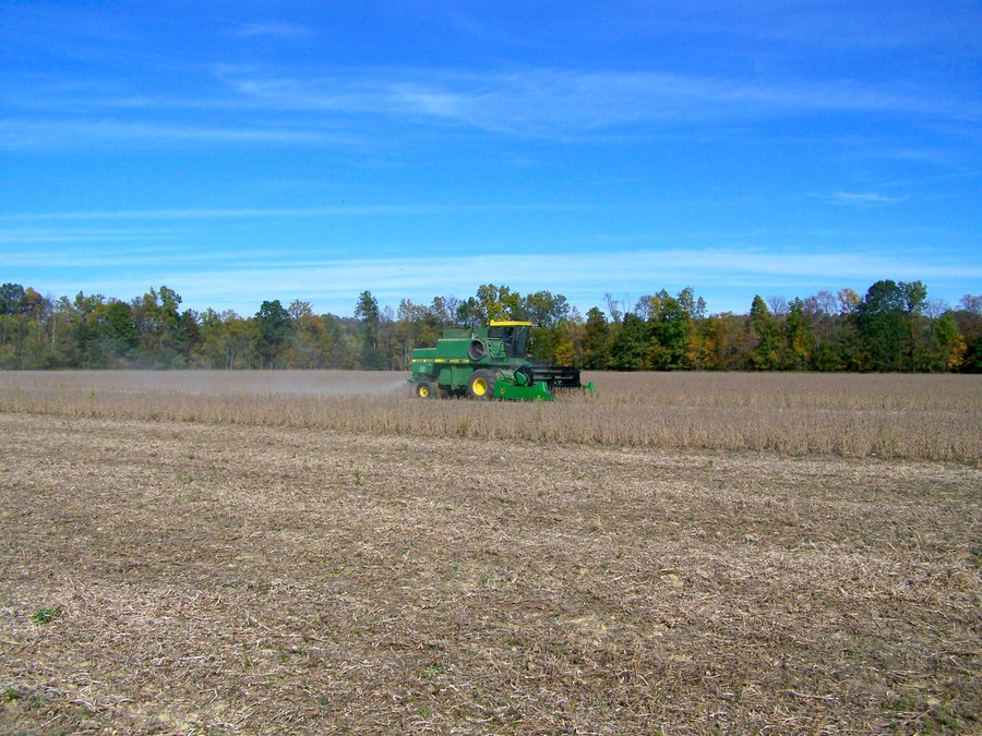For sale: LAND FOR SALE - LAWRENCE COUNTY, IN - 281.3+/- ACRES ESSENTIAL ALL AROUND FARM - Tunnelton, Indiana - Bedford, Indiana - Lawrenceport, Indiana