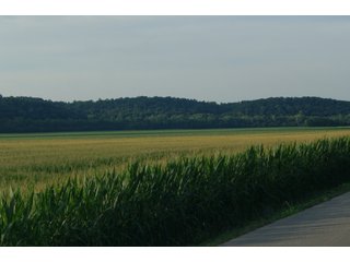 <b><I>This would be a great property for farmer or investor to safely invest in with the additional potential of leasing out the property to hunters and fishermen.  Tract 1 is the most popular for deer and turkey; however, the river bottoms yield the biggest bucks, with the turkeys always present scratching the crop residual.</b></I>

<li><b>Tract 3 (SOLD) adjoins Lawrenceport to the north and is prime river-bottom ground containing 73 tillable acres with 10.5 acres of woods and waste consisting of a quarter mile of frontage on White River and Sugar Creek.</b> There is a boat ramp where the river and creek adjoin at the south boundary of the property. Paved Lawrenceport Road bisects this property giving good access for farm machinery and harvest. 

<b>House Details:</b>
<li>Type of Property: Farm with home and shed
<li>Condition: Good
<li>Type of Heat: LP Gas
<li>24ft x 72ft Garage
<li>10ft x 24ft Porch
<li>2nd floor 12ft x24ft Deck overlooking hayfield
<li>4 bedrooms (1 master)
<li>2 bathrooms
<li>864 Sq Ft Basement. 1442 Sq Ft crawl space under living room.
<li>Possession: House: 90 days, Land: At Closing
<li>Central Air (installed 2019)
<li>2 LP Tanks, both owned, and an LP Gas Water heater. 
<li>Water Softener
<li>Metal Pole Shed (72ft x 72ft) with a 24ft x 72ft cement floor for garage and shop
<li>High School: Bedford North Lawrence - LAND FOR SALE  - 83.6+/- ACRES OFFERED ON TRACT 3 IN LAWRENCE COUNTY, INDIANA