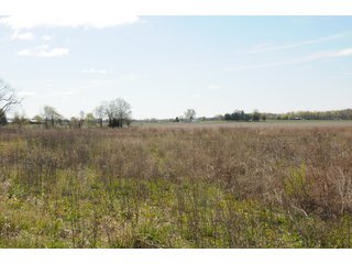 Property photo 5 - REAL ESTATE FOR SALE - 8.8+/- ACRES RURAL POTENTIAL BUILDING SITE IN WHITLEY COUNTY, INDIANA