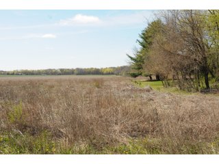 Property photo 6 - REAL ESTATE FOR SALE - 8.8+/- ACRES RURAL POTENTIAL BUILDING SITE IN WHITLEY COUNTY, INDIANA