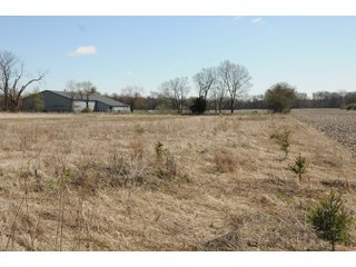Property photo 7 - REAL ESTATE FOR SALE - 8.8+/- ACRES RURAL POTENTIAL BUILDING SITE IN WHITLEY COUNTY, INDIANA