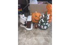 Property photo 127 - TIMED ONLINE PERSONAL PROPERTY AUCTION IN ALLEN COUNTY, IN