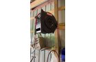 Property photo 190 - TIMED ONLINE PERSONAL PROPERTY AUCTION IN ALLEN COUNTY, IN