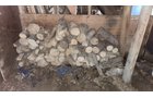 Property photo 274 - TIMED ONLINE PERSONAL PROPERTY AUCTION IN ALLEN COUNTY, IN