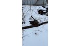 Property photo 308 - TIMED ONLINE PERSONAL PROPERTY AUCTION IN ALLEN COUNTY, IN