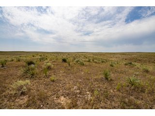 Property photo 17 - LAND AUCTION - 530+/- ACRES IN BEAVER, HUGHES & NOWATA COUNTIES, OKLAHOMA