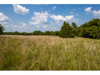 Property photo 15 - LAND AUCTION - 530+/- ACRES IN BEAVER, HUGHES & NOWATA COUNTIES, OKLAHOMA