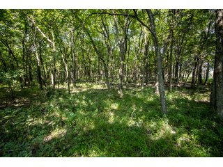 Property photo 13 - LAND AUCTION - 530+/- ACRES IN BEAVER, HUGHES & NOWATA COUNTIES, OKLAHOMA