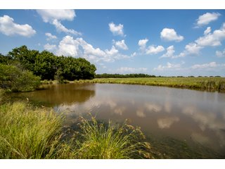 Property photo 12 - LAND AUCTION - 530+/- ACRES IN BEAVER, HUGHES & NOWATA COUNTIES, OKLAHOMA