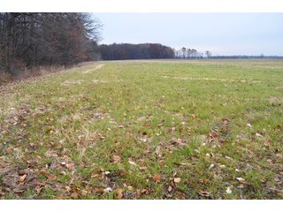 Property photo 19 - LAND AUCTION - 129+/- ACRES - 2 FARMS / 5 TRACTS - NORTHEAST ALLEN & SOUTHERN DEKALB COUNTIES