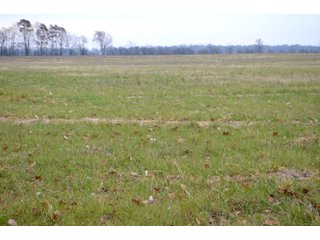 Property photo 16 - LAND AUCTION - 129+/- ACRES - 2 FARMS / 5 TRACTS - NORTHEAST ALLEN & SOUTHERN DEKALB COUNTIES
