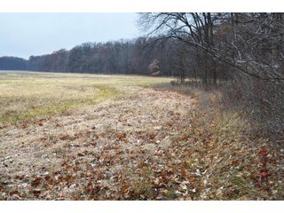 Property photo 30 - LAND AUCTION - 129+/- ACRES - 2 FARMS / 5 TRACTS - NORTHEAST ALLEN & SOUTHERN DEKALB COUNTIES