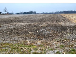 Property photo 29 - LAND AUCTION - 129+/- ACRES - 2 FARMS / 5 TRACTS - NORTHEAST ALLEN & SOUTHERN DEKALB COUNTIES