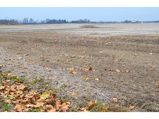 Property photo 28 - LAND AUCTION - 129+/- ACRES - 2 FARMS / 5 TRACTS - NORTHEAST ALLEN & SOUTHERN DEKALB COUNTIES