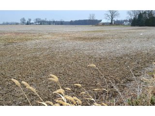 Property photo 27 - LAND AUCTION - 129+/- ACRES - 2 FARMS / 5 TRACTS - NORTHEAST ALLEN & SOUTHERN DEKALB COUNTIES