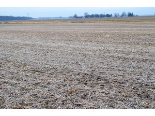 Property photo 26 - LAND AUCTION - 129+/- ACRES - 2 FARMS / 5 TRACTS - NORTHEAST ALLEN & SOUTHERN DEKALB COUNTIES