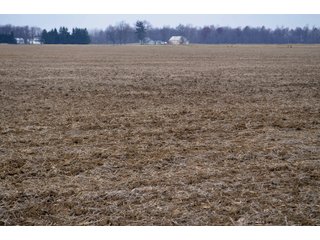 Property photo 25 - LAND AUCTION - 129+/- ACRES - 2 FARMS / 5 TRACTS - NORTHEAST ALLEN & SOUTHERN DEKALB COUNTIES