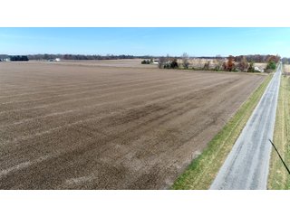 Property photo 23 - LAND AUCTION - 129+/- ACRES - 2 FARMS / 5 TRACTS - NORTHEAST ALLEN & SOUTHERN DEKALB COUNTIES