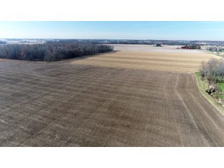 Property photo 3 - LAND AUCTION - 129+/- ACRES - 2 FARMS / 5 TRACTS - NORTHEAST ALLEN & SOUTHERN DEKALB COUNTIES