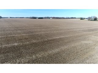 Property photo 6 - LAND AUCTION - 129+/- ACRES - 2 FARMS / 5 TRACTS - NORTHEAST ALLEN & SOUTHERN DEKALB COUNTIES