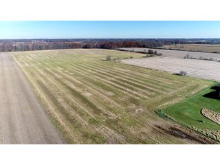 Property photo 8 - LAND AUCTION - 129+/- ACRES - 2 FARMS / 5 TRACTS - NORTHEAST ALLEN & SOUTHERN DEKALB COUNTIES