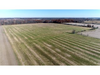 Property photo 9 - LAND AUCTION - 129+/- ACRES - 2 FARMS / 5 TRACTS - NORTHEAST ALLEN & SOUTHERN DEKALB COUNTIES
