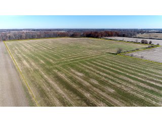 Property photo 2 - LAND AUCTION - 129+/- ACRES - 2 FARMS / 5 TRACTS - NORTHEAST ALLEN & SOUTHERN DEKALB COUNTIES