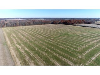 Property photo 11 - LAND AUCTION - 129+/- ACRES - 2 FARMS / 5 TRACTS - NORTHEAST ALLEN & SOUTHERN DEKALB COUNTIES