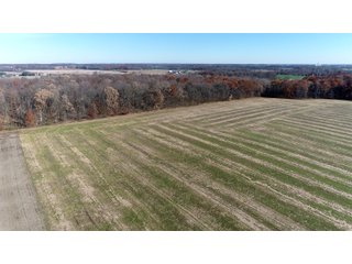 Property photo 12 - LAND AUCTION - 129+/- ACRES - 2 FARMS / 5 TRACTS - NORTHEAST ALLEN & SOUTHERN DEKALB COUNTIES